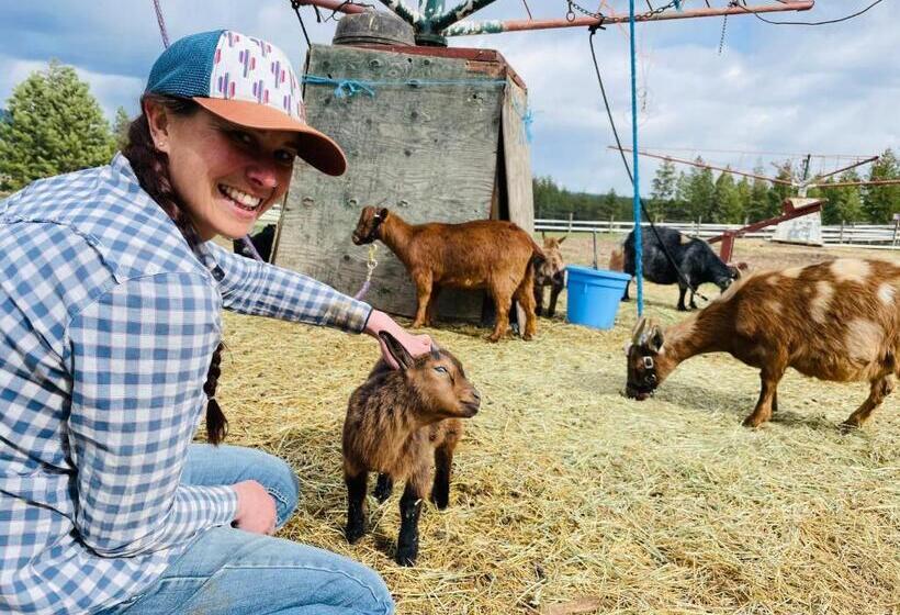 Hotel Authentic Barn Bnb