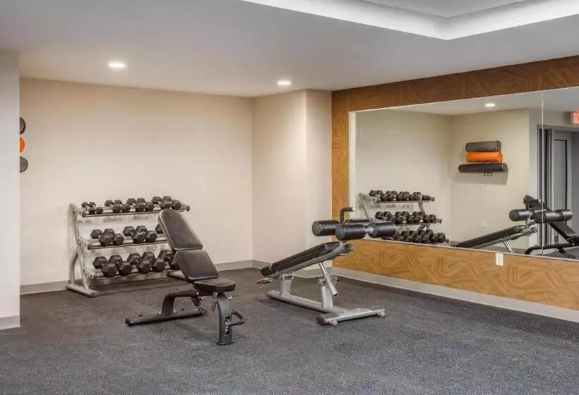 هتل Comfort Inn & Suites Newark Liberty International Airport