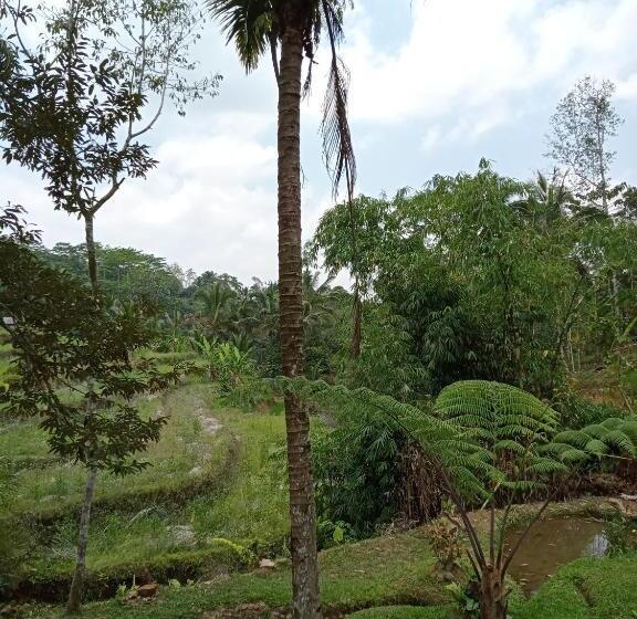 酒店 Duegoal Farmhouse