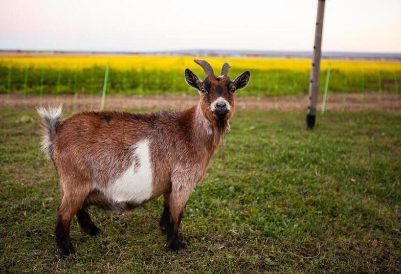 호텔 Eco Lodge Bûcheron Bergère