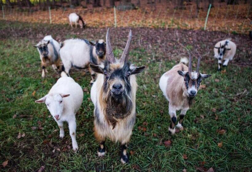 호텔 Eco Lodge Bûcheron Bergère