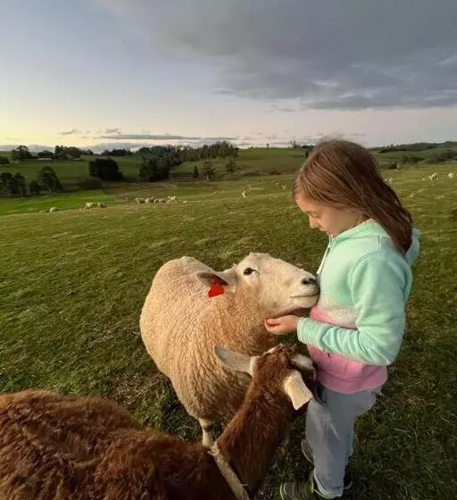 Hotelli Jilly Park Farmstay Experience Discover Authentic Farm Life Complimentary Breakfast Included