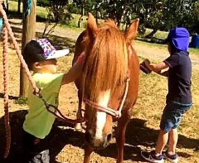 Hotelli Jilly Park Farmstay Experience Discover Authentic Farm Life Complimentary Breakfast Included