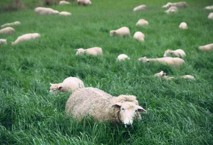 酒店 Jilly Park Farmstay Experience Discover Authentic Farm Life Complimentary Breakfast Included