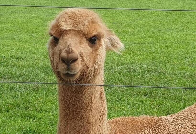 酒店 Jilly Park Farmstay Experience Discover Authentic Farm Life Complimentary Breakfast Included