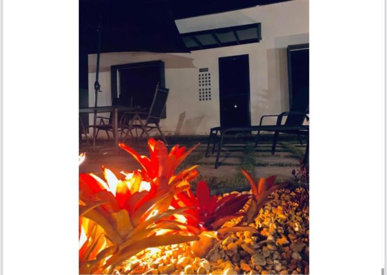 Отель Tali House Casa