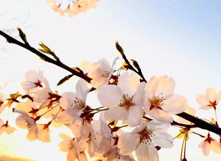 Majatalo 1日1組限定 1棟貸切の古民家 蔵の宿 隠れ蔵