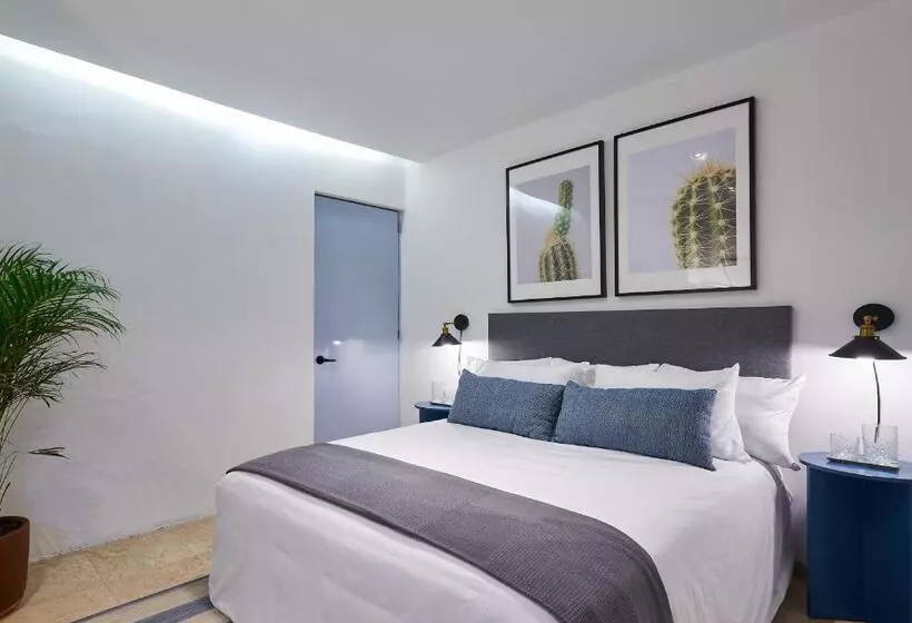 ペンション Amazinn Places La Condesa Roma