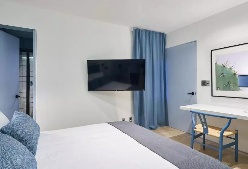 ペンション Amazinn Places La Condesa Roma