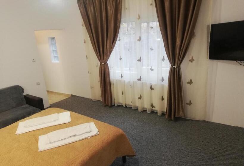 ペンション Casa Bucur