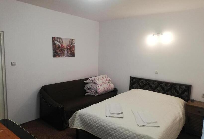 ペンション Casa Bucur