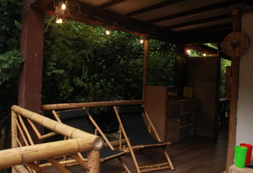 Общежитие Bio Coliving Tayrona