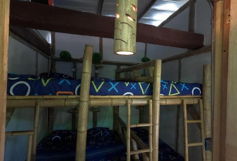 Общежитие Bio Coliving Tayrona