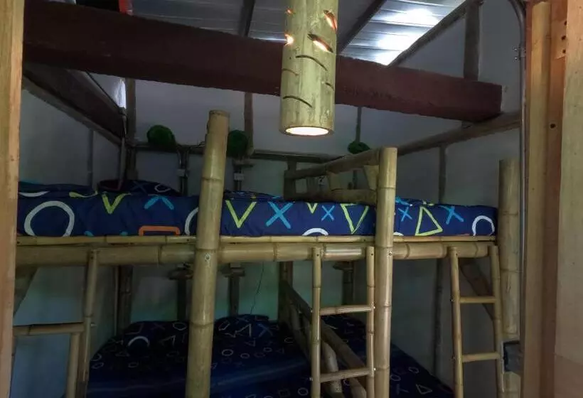 هاستل Bio Coliving Tayrona