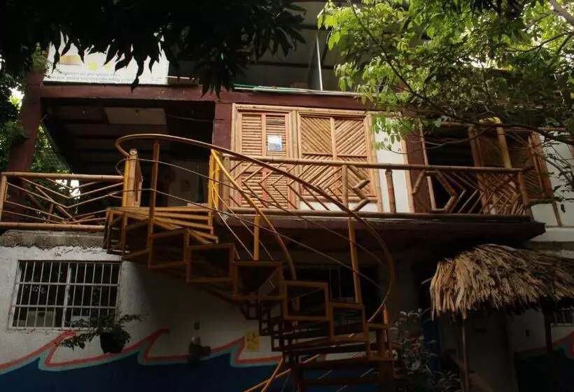 هاستل Bio Coliving Tayrona