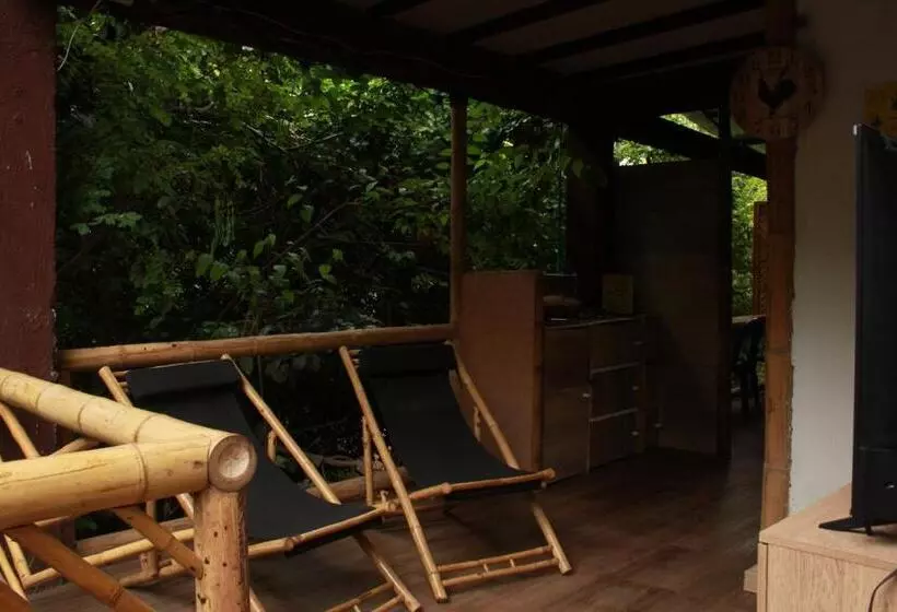 هاستل Bio Coliving Tayrona