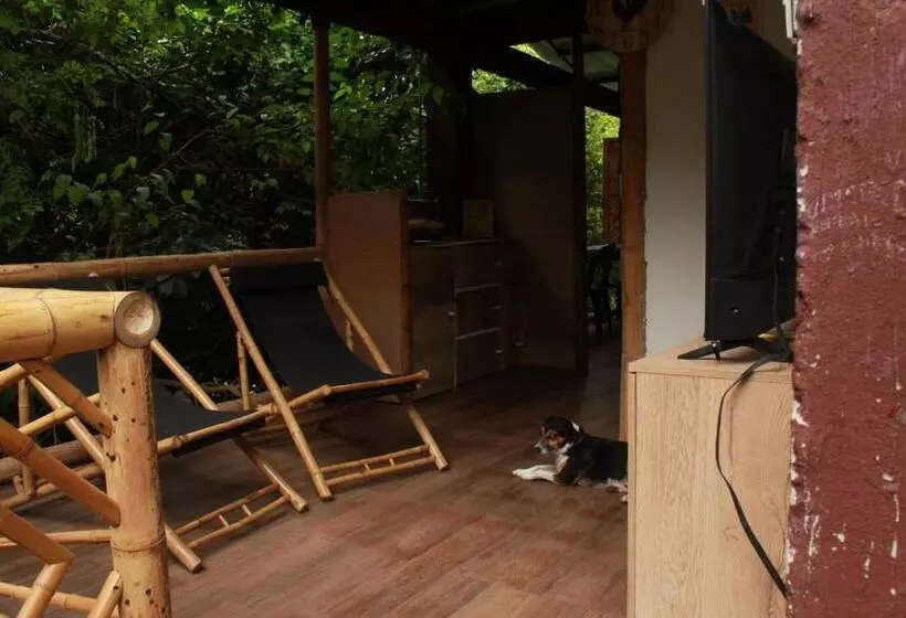 هاستل Bio Coliving Tayrona