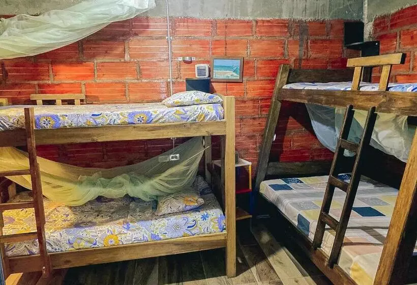 هاستل Bio Coliving Tayrona