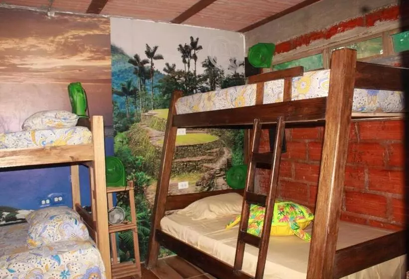 هاستل Bio Coliving Tayrona
