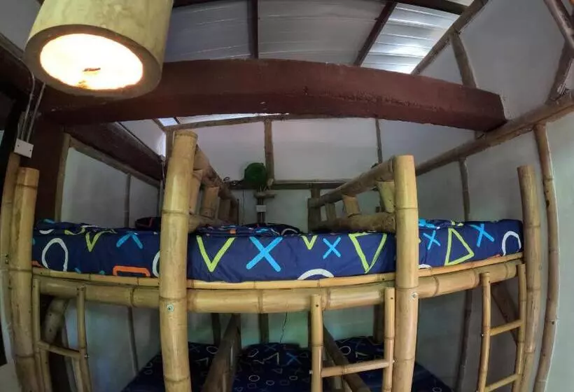 هاستل Bio Coliving Tayrona