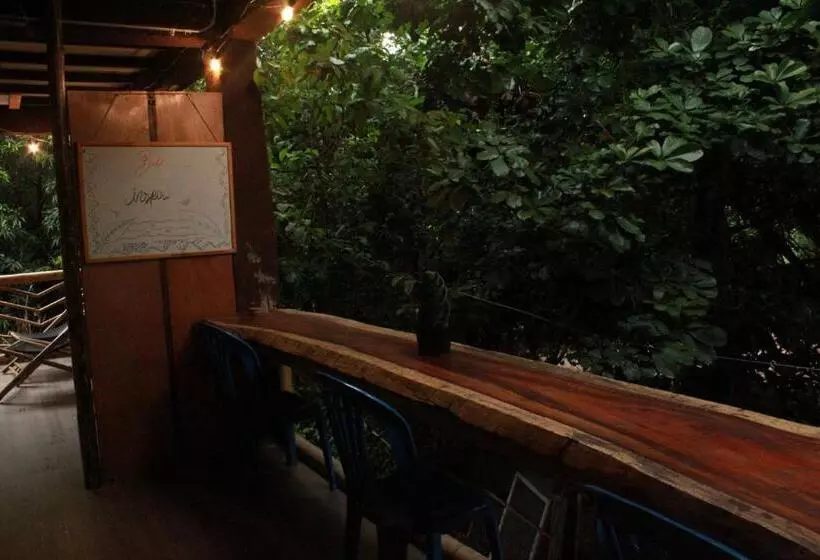 هاستل Bio Coliving Tayrona
