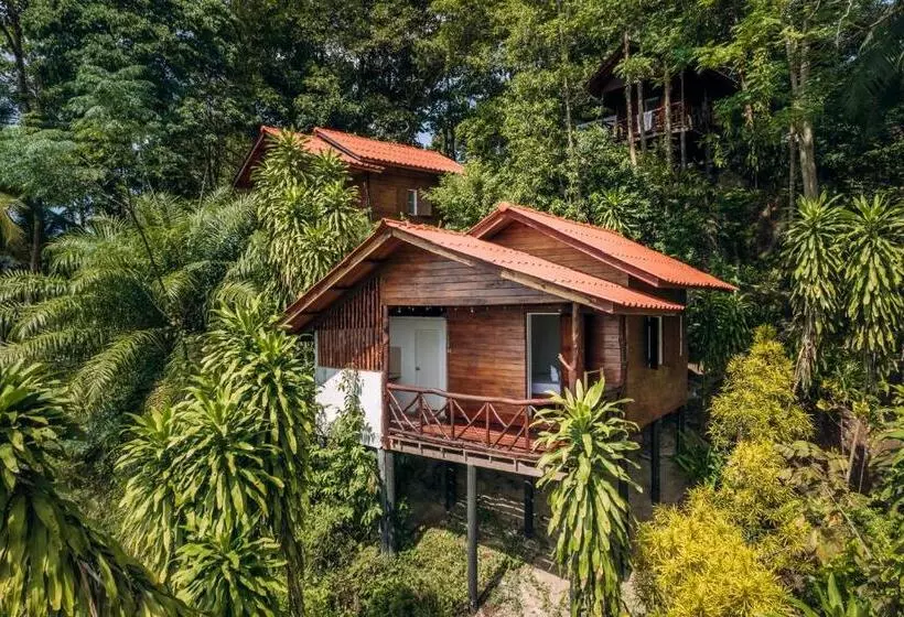 ベッドアンドブレックファースト The Source Yoga And Nature Retreat Koh Phangan
