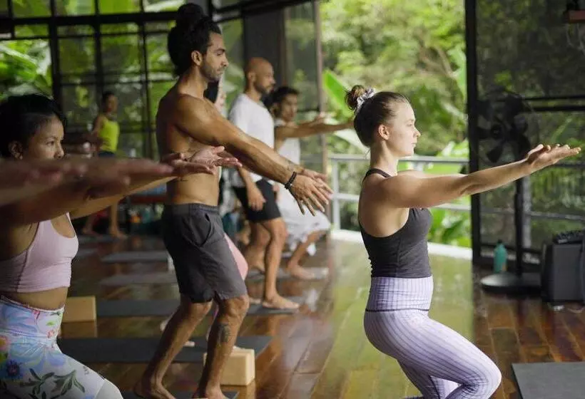 ベッドアンドブレックファースト The Source Yoga And Nature Retreat Koh Phangan