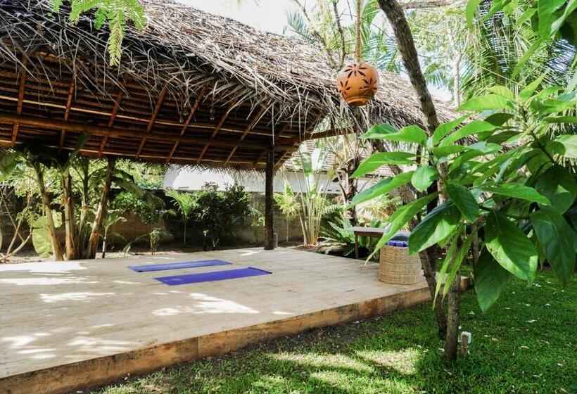 فندق Jackie´s Guest House