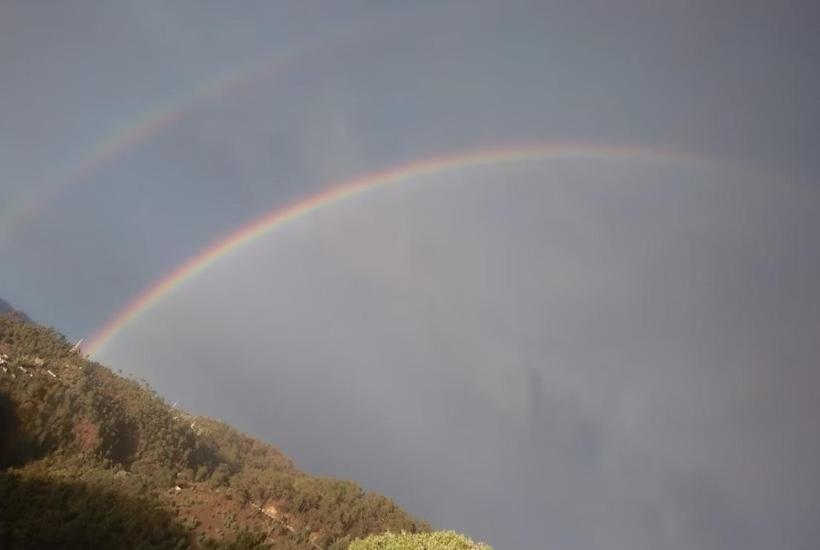 Отель The Royal Mountain