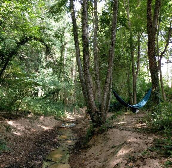 호텔 Albergue Del Oso Tierraluz