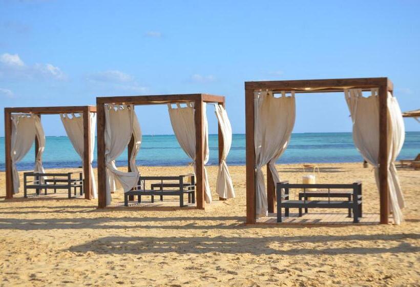 هتل True Beach Resort