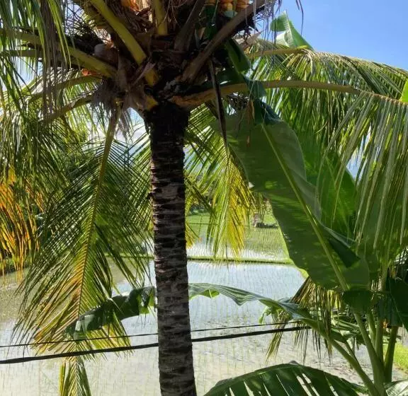 ホテル Villa Agung Beach Inn