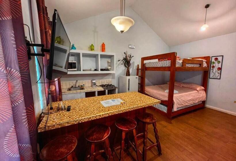 هتل Y Cabañas River Park