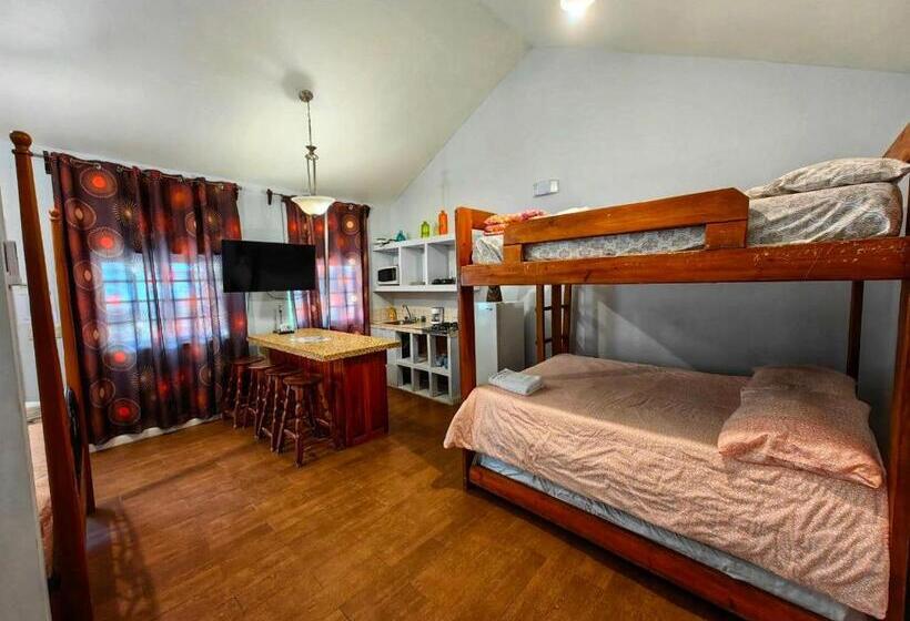 هتل Y Cabañas River Park