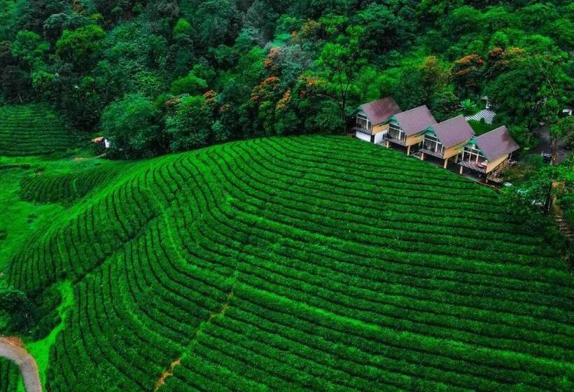 Hotel Zero Degree Jungle Resort