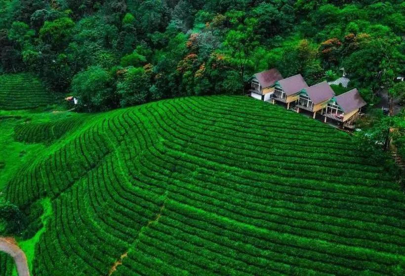 Hotelli Zero Degree Jungle Resort