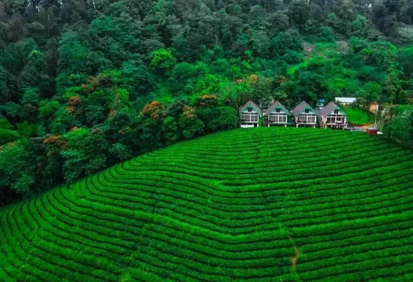 Hotelli Zero Degree Jungle Resort