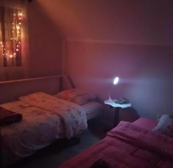 پانسیون Apartman Vojin
