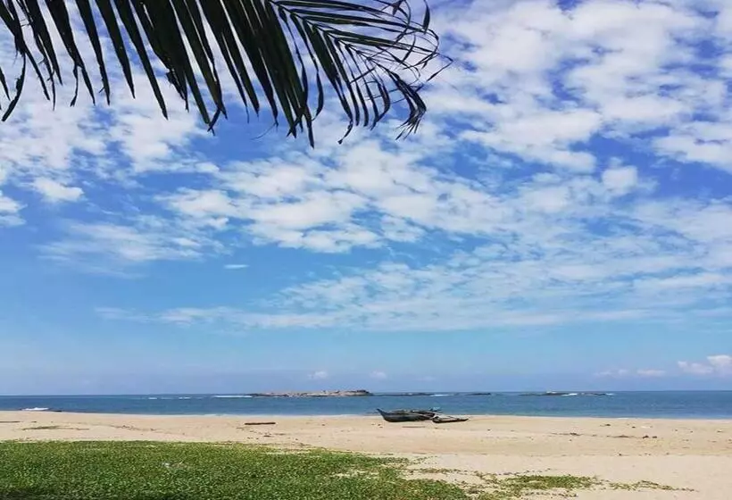 Majatalo Neem Tree Ambalangoda