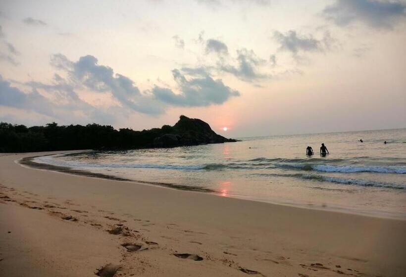 Pensão Neem Tree Ambalangoda