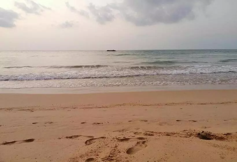 Majatalo Neem Tree Ambalangoda