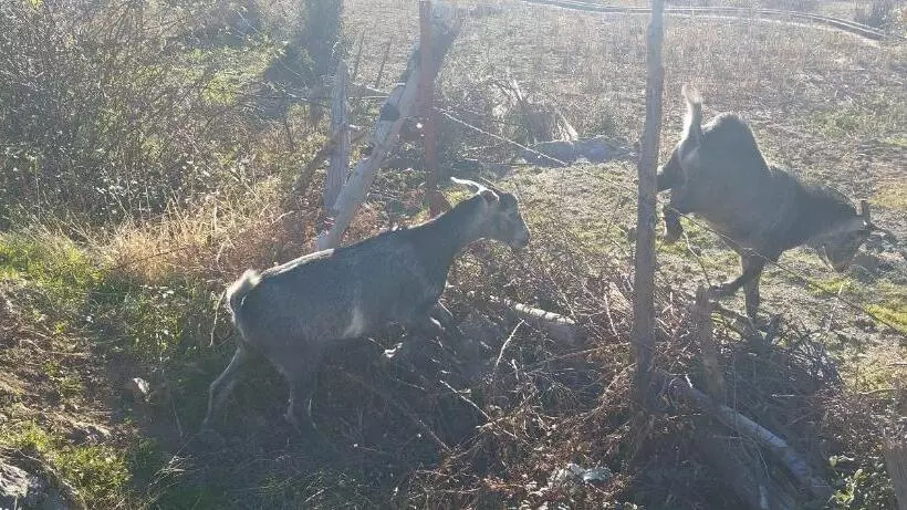 Retkeilymaja Gîte De Montagne Azilane