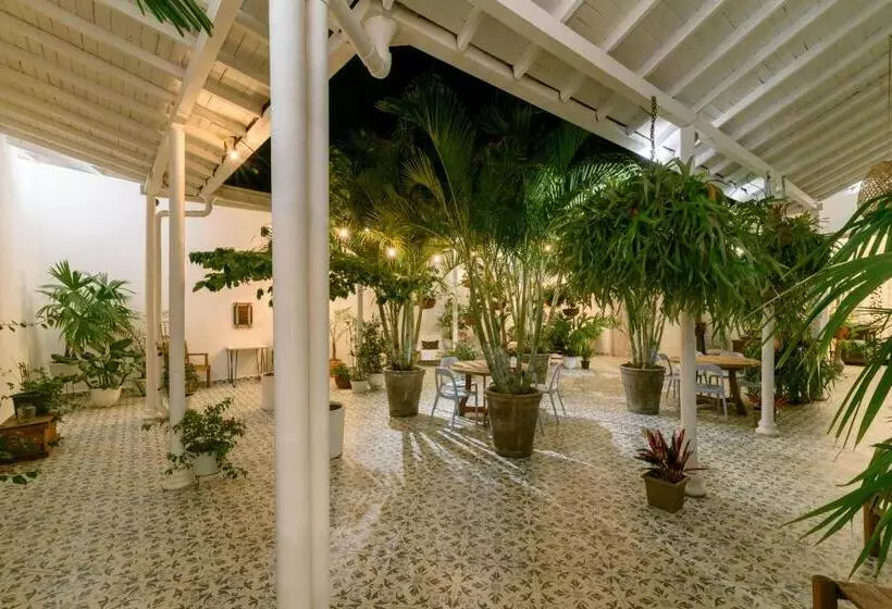 ベッドアンドブレックファースト Casa Al Alma