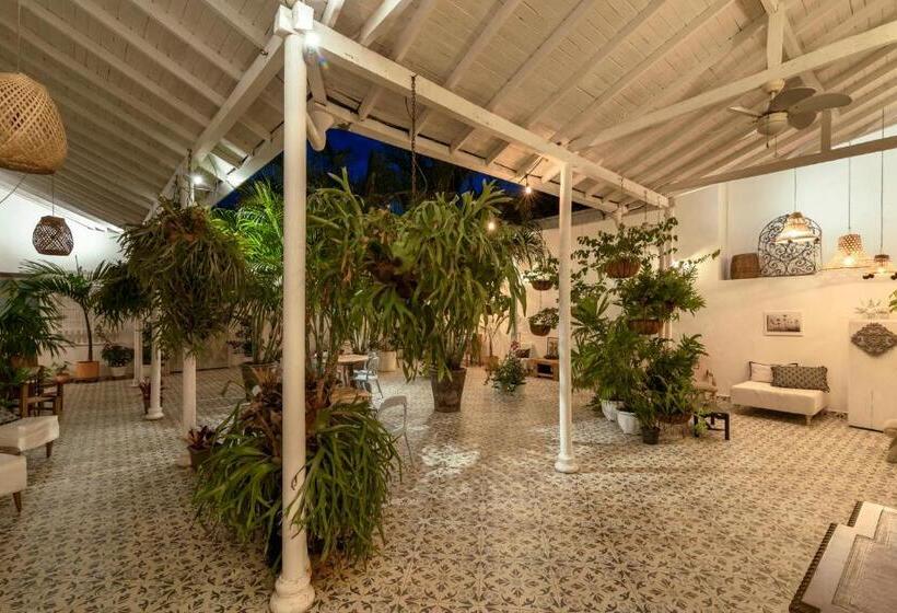 تختخواب و صبحانه Casa Al Alma