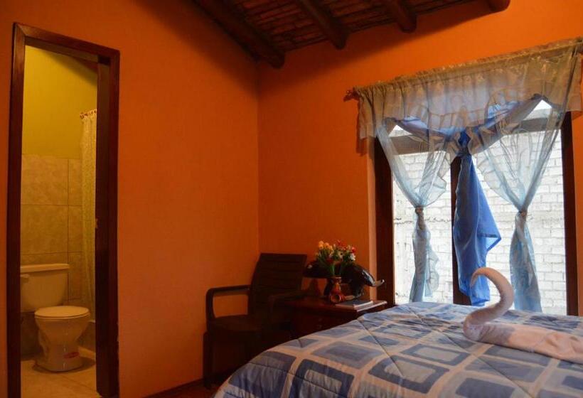 Bed & Breakfast Hostal Conejito