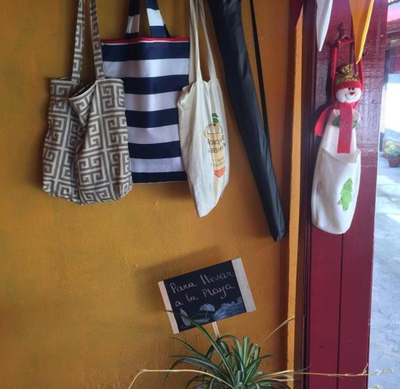 ベッドアンドブレックファースト Hostal Playa Hermosa