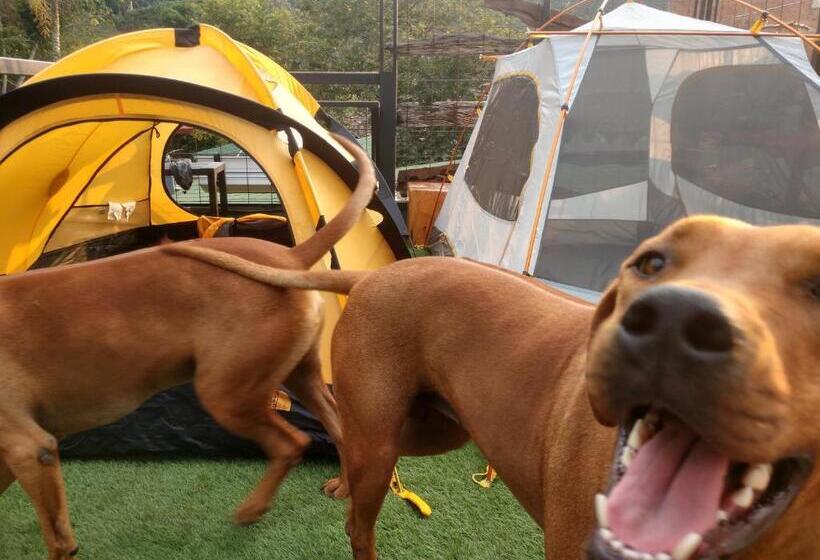 ホテル Hosteria Los Alpes De San Roque