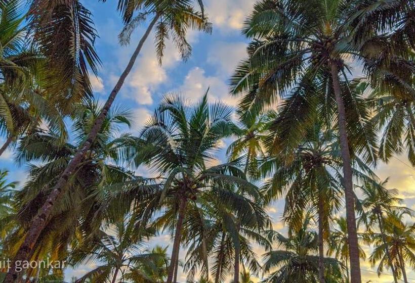 酒店 Orange Sky Inn