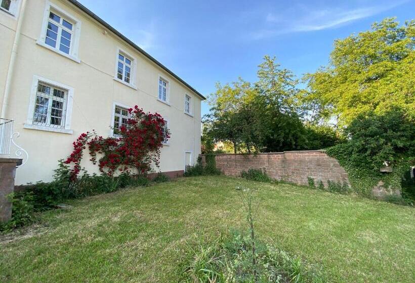 בית מלון כפרי Schloss Hainfeld