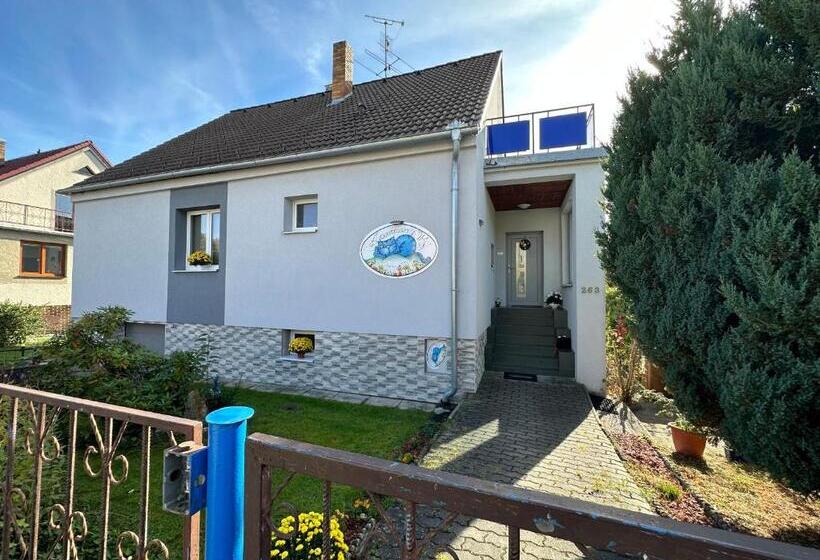 פנסיון Apartmán V Suterénu